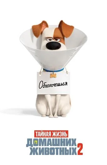 Смотреть Мультфильм Тайная жизнь домашних животных 2(2019) бесплатно