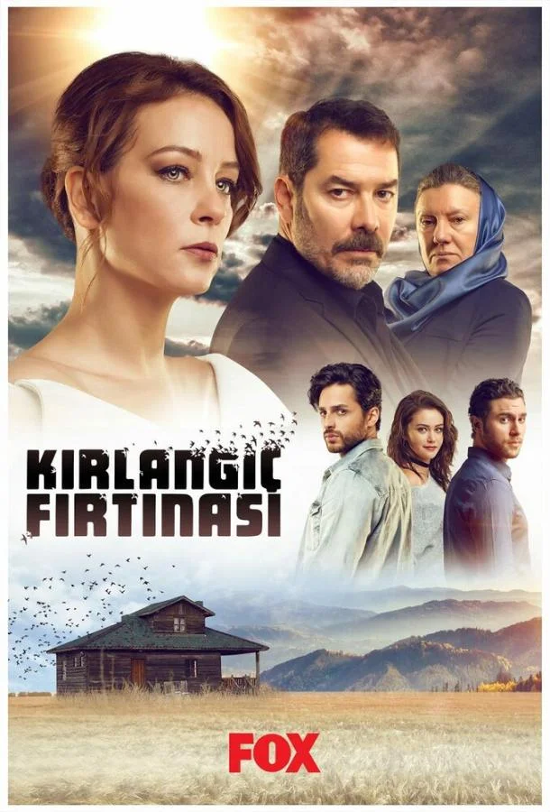 Смотреть Сериал Шторм ласточки(2017) бесплатно