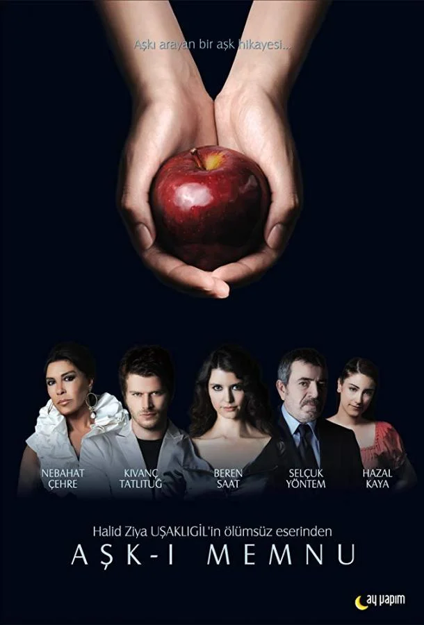 Смотреть Сериал Запретная любовь(2008) бесплатно